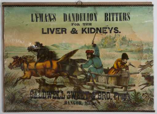 "Lyman's Dandelion Bitters for the Liver and Kidneys, "Advertising Display Sign.
