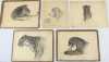 John Stockton deMartelly, group of 5 pencil drawings of animals done when he was a boy