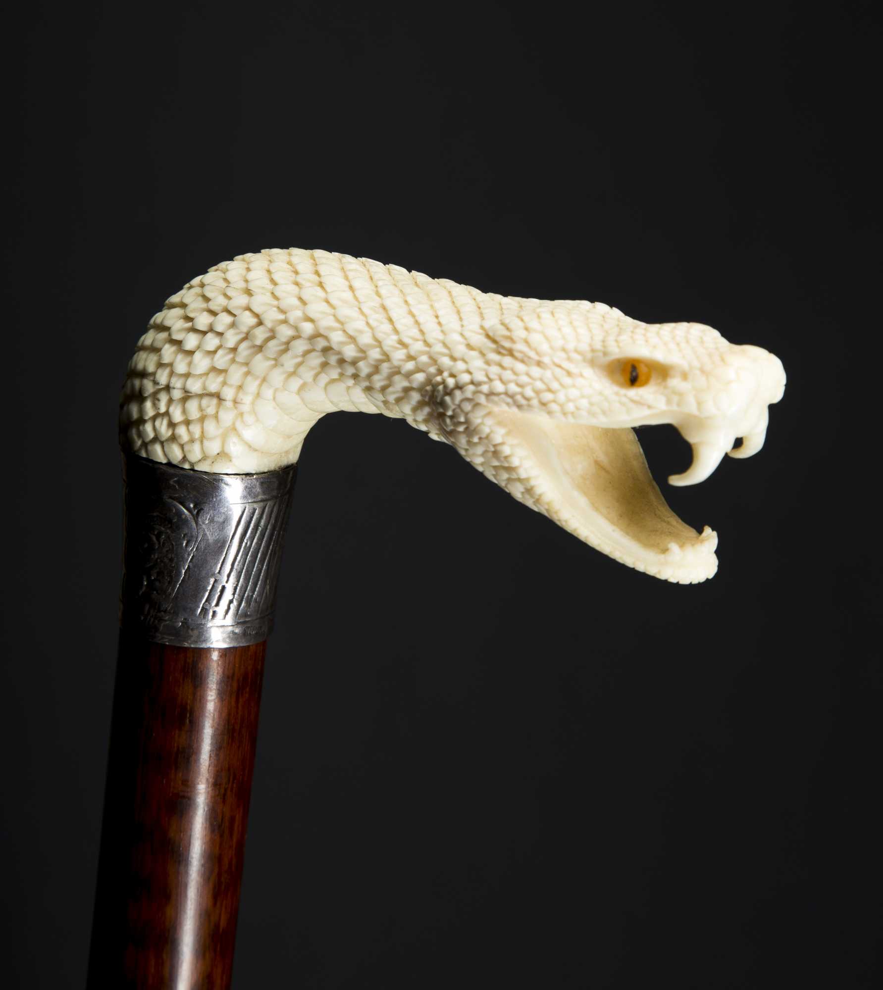 Carved Snake Head Cane